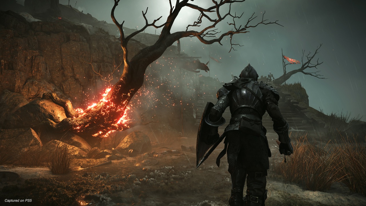 A knight standing near a burning tree in the haunting landscapes of Demon's Souls on PlayStation 5
